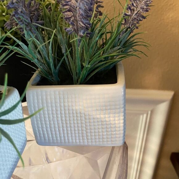 Faux Plants Lot of 5 Lavender in Ceramic Square Pots - Picture 5 of 11